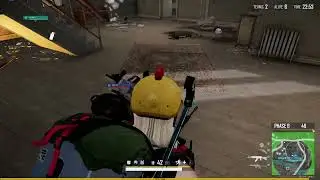 PUBG Chickens In The House