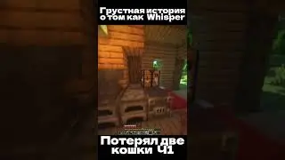Очень трогательная история Twitch:whispern1ght 