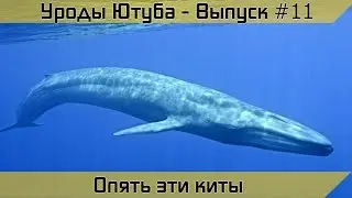 Уроды Ютуба - Выпуск #11 (Опять эти киты)