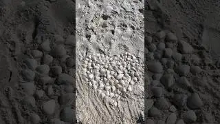 Mande para aquela Pessoa especial para voce ❤️. 