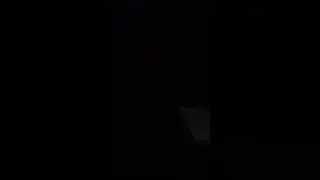 28 ноября 2023 г.