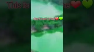 Country Reveal!💚❤