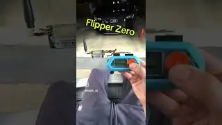 FLIPPER ZERO❗❗ #flipperzero #cybersecurtiy #viralvideo