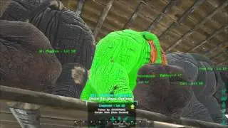 OBS Capture Demo using Intel QuickSync