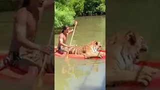 NGERII!!! Layaknya seperti keluarga orang ini hidup dengan hewan buas tanpa rasa takut..