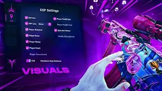 Destroying Twitch Streamers with the BEST $5 CHEAT
