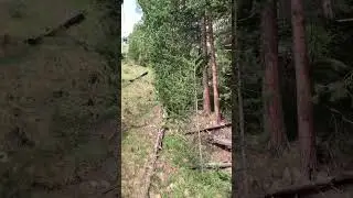 Чегет