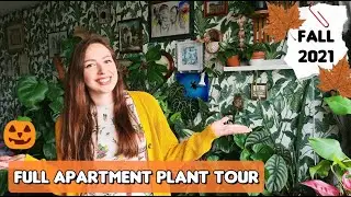 HOUSEPLANT TOUR - FALL 2021 / +150 plants in 2 room apartment