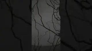 #foundfootage #fullmoon #horrorpop
