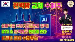 전력망 교체 수혜주 급등! 효성중공업 LSELECTRIC 산일전기 강세 이유는 [황금백서]