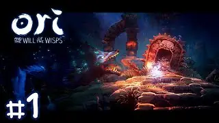 งานภาพสวยกว่าเดิม (Ori and the Will of the Wisps) #1