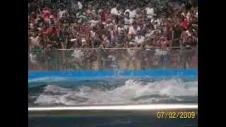 SAN CLEMENTE ***** MUNDO MARINO