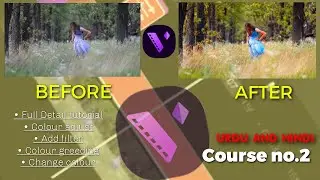 How to change colour and doing colour greeding in motion ninja pro video editor || class 2