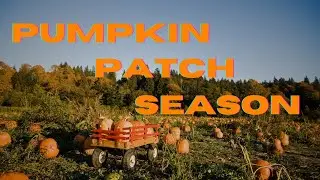 Pumpkin Patch near Vancouver, BC