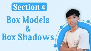 Section 4 - Box Models & Box Shadows