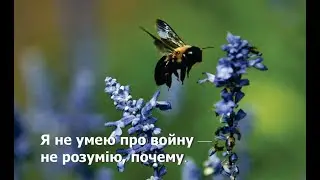 Я не умею про войну