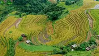 Amazing Rice Terraces in Mu Cang Chai, Yen Bai
