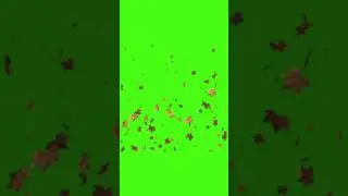 Motion elements falling leaves 4 free green screen effects 