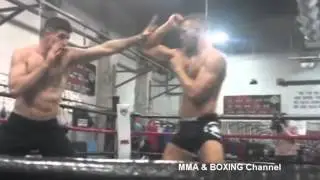 Connor Mcgregor Training Highlights 2016