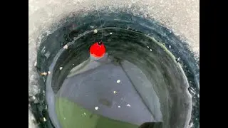 БЕШЕНЫЙ ВЕСЕННИЙ КЛЕВ.ЗИМНЯЯ РЫБАЛКА.Плотва и окунь на мормышку.