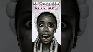 CUTE ✅ or FAIL? ❌ SILVER TONE Filter Makeup Challenge! 👀🤣