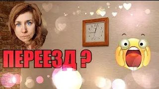 Не может быть🤔//Он делает всё как Я говорю//Яйцо или цыпленок//Что ест деревенщина