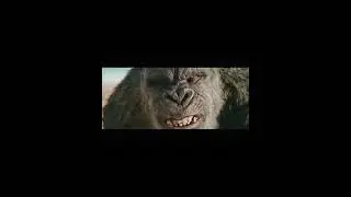 Эволюция Годзиллы 2024 #godzilla #godzillaxkong #godzillaxkongnewempire #godzillaxkong2024 #shorts