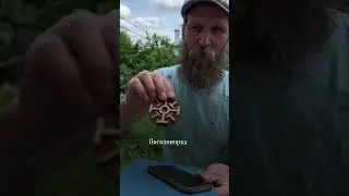 Буковник Всеясветной Грамоты есть на озон и вб