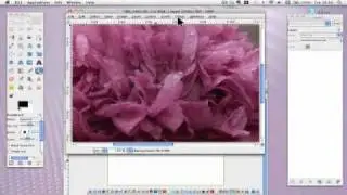 Video 6 - Introduction to Gimp Tools - The Menu Bar - Gimp Tutorial