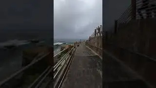 Children’s Pool, La Jolla, San Diego