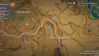 Genshin Impact : Puzzle Totem Dendro Di Temir Mountains