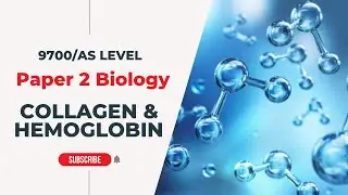 Collagen & Hemoglobin | AS Level - P2 | Biology with Dr Lakho