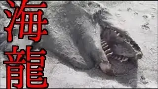 【UMA？映像】インドネシアの巨大な謎の海洋生物