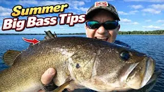 Try This When Fishing in The Summer Gets Tough!!!
