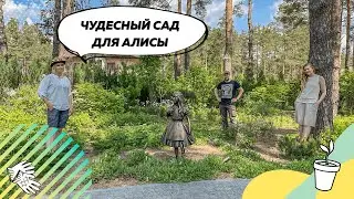 Обзор сада 