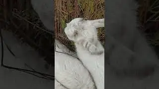 осень теплая много гуляем