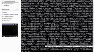 web 3 2013