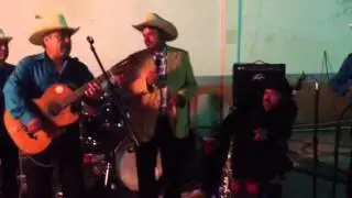 Paloma sin nido gbnl