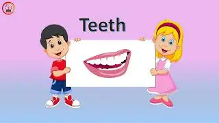 Learn Parts Of Body Name with Pictures in English || Human Body Parts for kindergarten & Preschool