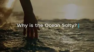 Why is the Ocean Salty?