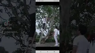 Hoa hồng cho sớm mai tập 9