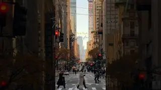 Fifth Avenue Holiday Season