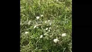 trim AFA425AF 5932 4EAB 88E9 AD5E9F4C5266