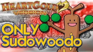 Can I Beat Pokemon HeartGold with only ONE SUDOWOODO?
