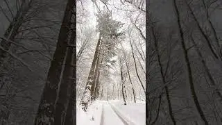 #winterwonderland #winter #dragonos #croatia #snow