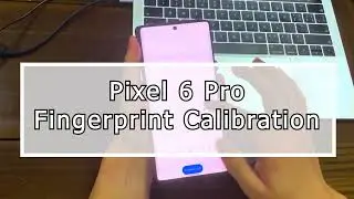 😎💎Fingerprint Calibration for Google Pixel 6 Pro