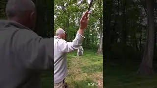 COLD STEEL mini flight sports for no spin Knife throwing practicing