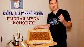 DIY spring boilies / Hemp + Fish meal / Dusty boilies