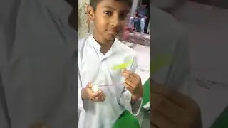 নতুন আবিস্কার  পেনসিল ফেন