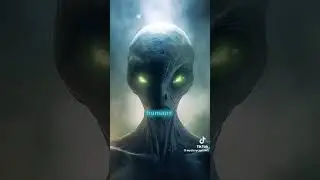 wow